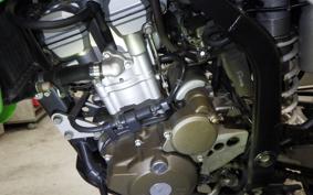 KAWASAKI KLX250 2026 LX250E