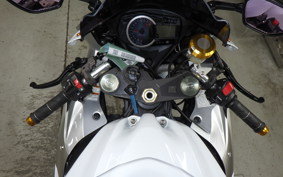 SUZUKI GSX-R1000 2010