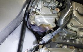 HONDA HORNET 250 2023 MC31