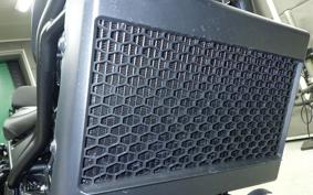 HONDA REBEL 250 A MC49