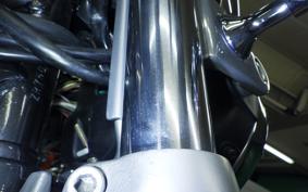 KAWASAKI ZEPHYR 750 2025