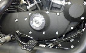 HARLEY XL883N 2017