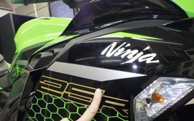 KAWASAKI ZX-25R SE KRT 2025 ZX250E