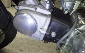 HONDA MONKEY 2006 Z50J