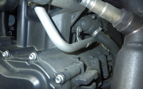 BENELLI TRK502X 2025