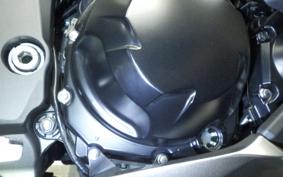 KAWASAKI NINJA 1000SX 2021 ZXT02K