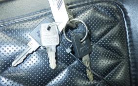 HARLEY XL1200NS 2019