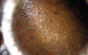 TRIUMPH BONNEVILLE STREET CUP 2017