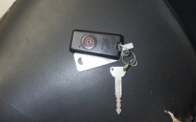 HONDA FORZA Z 2007 MF08