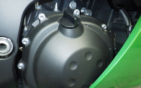 KAWASAKI ZX 1400 NINJA R A 2019
