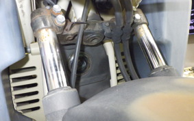 HONDA PS250 2006 MF09