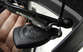 OTHER +HD. ﾊﾟﾝ AMERICA1250S 2021