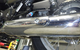 KAWASAKI W800 STREET 2019 EJ800B