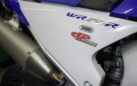 YAMAHA WR250R 2007 DG15J