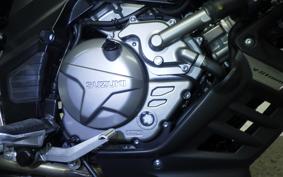 SUZUKI Vｽﾄﾛｰﾑ650XTA 2024 C733M