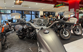 HARLEY XL1200R 2008 CV3