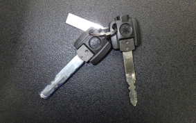 YAMAHA CYGNUSｸﾞﾘﾌｧｽ SEJ4J