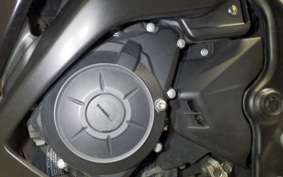 YAMAHA YZF-R25 2026 RG10J