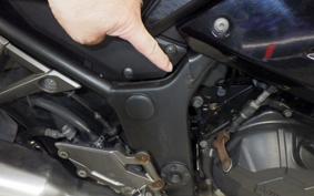 KAWASAKI NINJA 300 2013