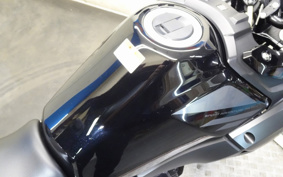 SUZUKI STROM 250 DS11A