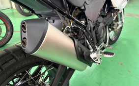 DUCATI DESERT X 2024 1X00