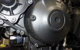 YAMAHA MT-09 SP 2023 RN69J