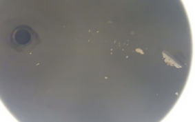 HARLEY FLSTF 1450 2002