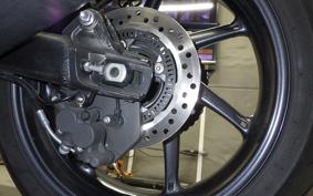 TRIUMPH SPEED TWIN 2019