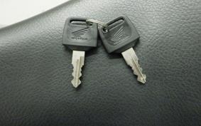 HONDA TLM220R 2023 MD23