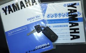 YAMAHA X-MAX 250 A SG42J