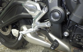 TRIUMPH TRIDENT 660 2024