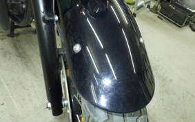 KAWASAKI W800 2011 EJ800A