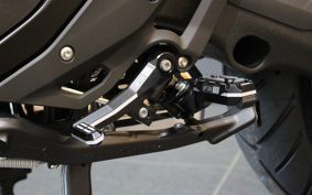 BMW R1300GS Touring ASA 2025 0M21