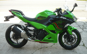KAWASAKI Ninja 250 ABS EX250Y