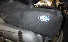 HONDA TODAY 2020 AF61