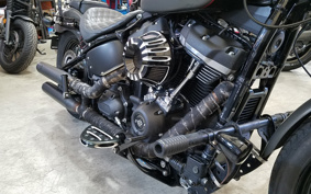 HARLEY FXBB 2019 YJJ