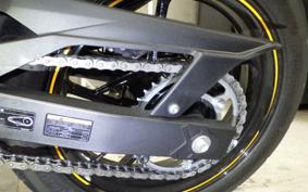 KAWASAKI NINJA 250 2023 EX250Y