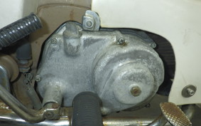 HONDA C100 SUPER CUB 2024 C100