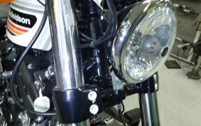 HARLEY XL1200XS 2019