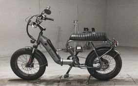 OTHER DENDOU BIKE  ..