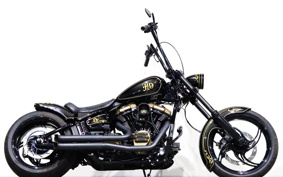 HARLEY FXBRS 2021 YHK