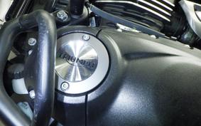 TRIUMPH SPEED400 2024