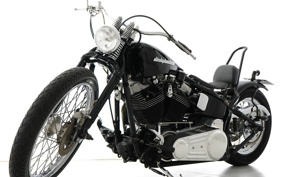 HARLEY HARLEY FXST1340-1450 2004 BHY