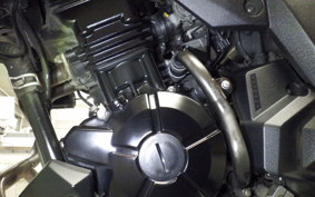 KAWASAKI VERSYS X250Aﾂｱﾗｰ LE250D