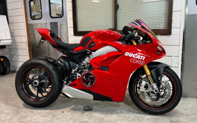 DUCATI PANIGA-REV4S 2019 DA00J