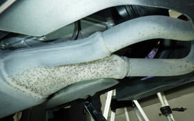 SUZUKI Vｽﾄﾛｰﾑ250A 2026