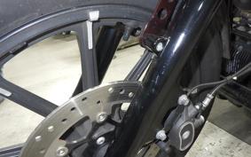 HARLEY XL1200NS 2019