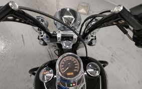 HARLEY HARLEY FLSTC1580 BW5