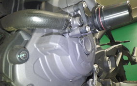 DUCATI MONSTER 937 + 2024