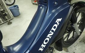 HONDA CROSS CUB 110 JA60